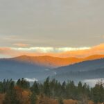 Store – gallery image 2