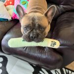 Store – gallery image 2