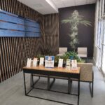 Store – gallery image 2