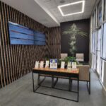 Store – gallery image 4