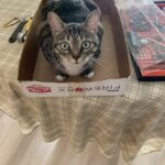 Surterra Wellness – gallery image 5