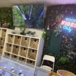 Store – gallery image 2