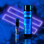 Store – gallery image 4