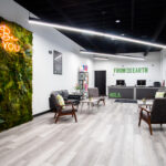 Store – gallery image 4