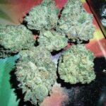 Store – gallery image 4