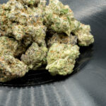 Store – gallery image 4