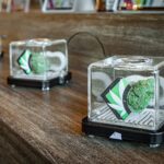 Store – gallery image 5