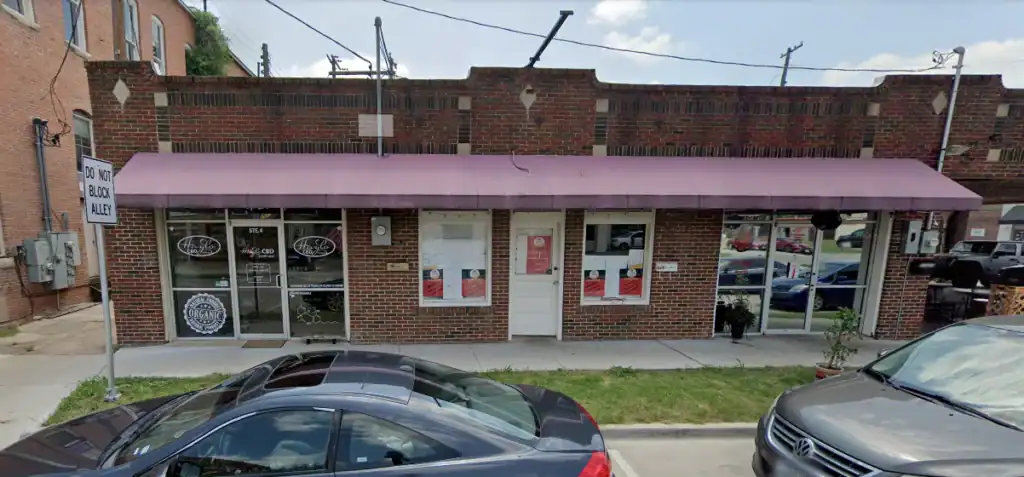 The Root Seed – main photo