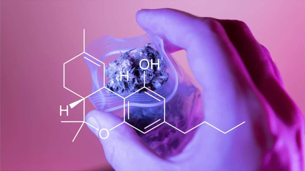Is Delta-8 The Same As CBD?