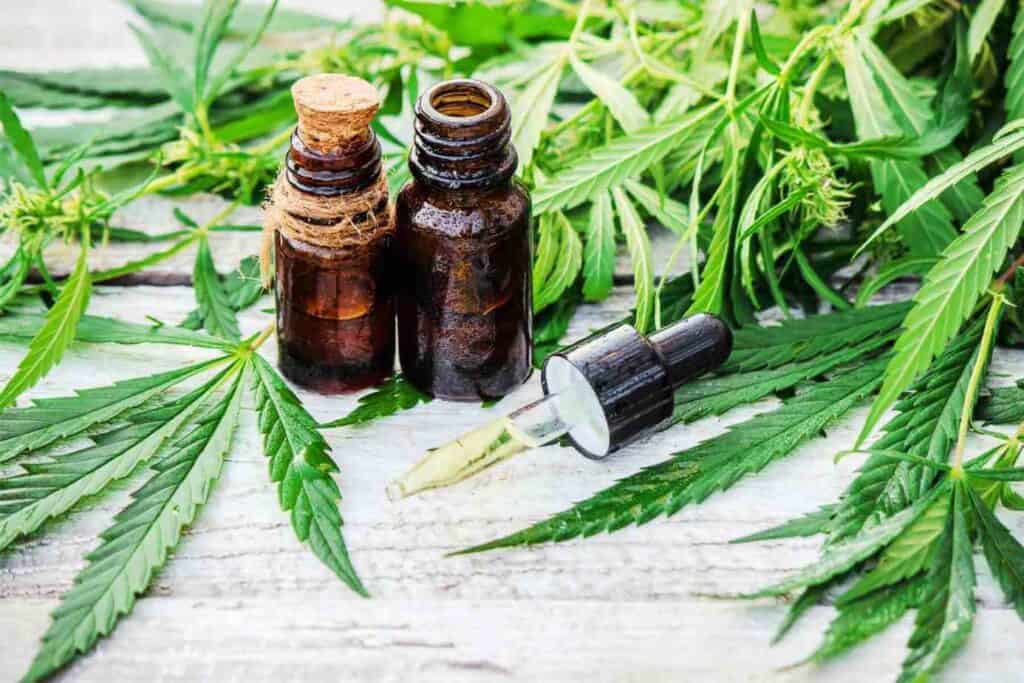 Picking The Perfect CBD Products — What’s The Best Option For You?