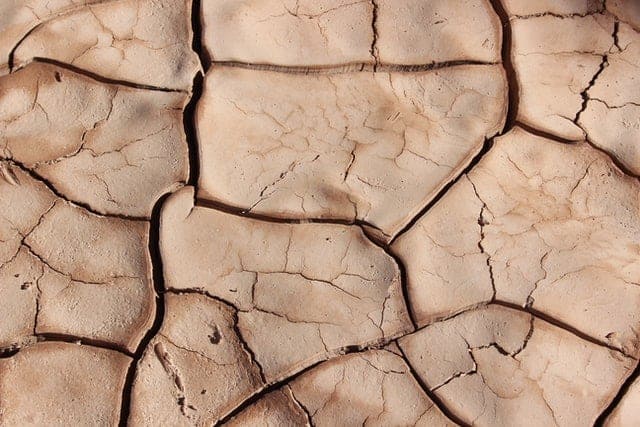 Delta-8 & Dry Mouth — Can Delta-8 THC Cause A “Cottonmouth” Sensation?
