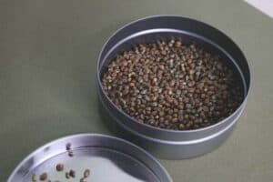 Is Hemp Seed Oil The Same As CBD Oil?