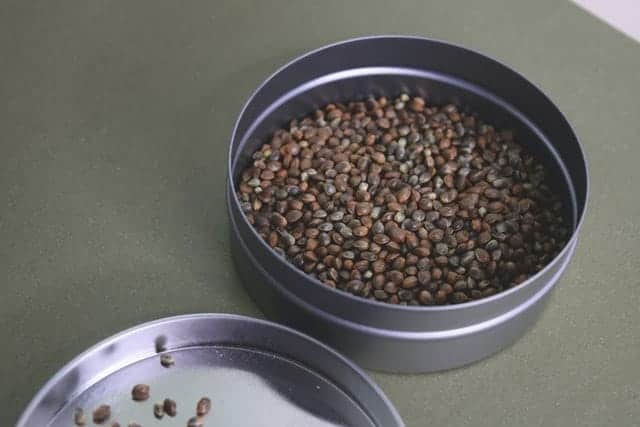 Is Hemp Seed Oil The Same As CBD Oil?