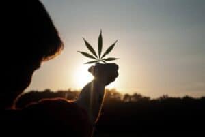Is CBD Better Than Delta-8 THC During The Day?