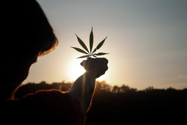 Is CBD Better Than Delta-8 THC During The Day?