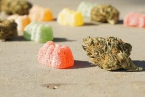Best CBD Edibles Of 2022