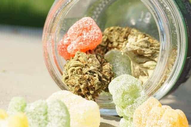 Top 5 CBD Gummies of 2022