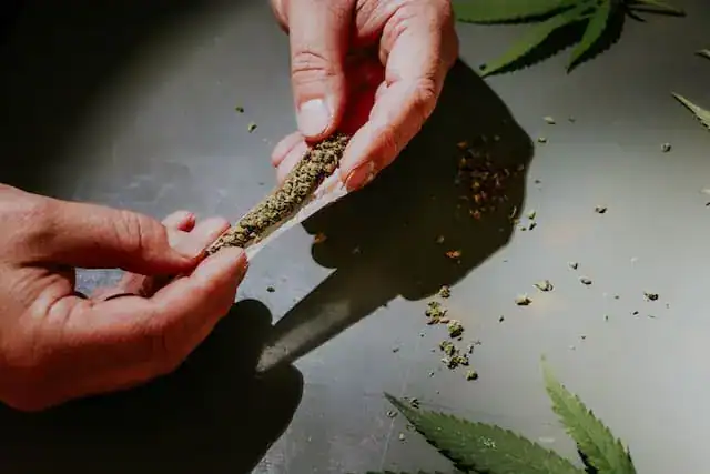 Do You Need An Herb Grinder For Hemp Flowers?