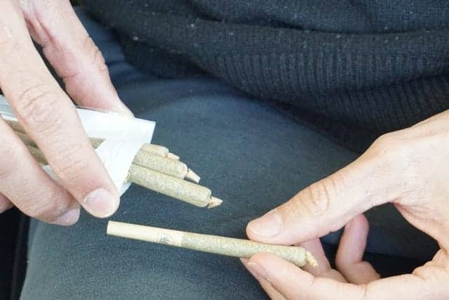 Does Sativa vs. Indica Matter With Smokable CBD Hemp Flowers?