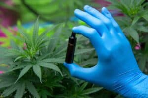 Why The FDA and CDC Issue Warnings Regarding Delta-8 THC