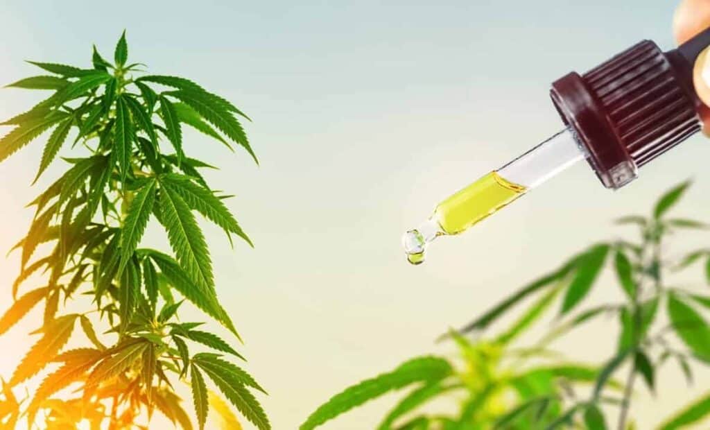 Is ‘MaxCBD Wellness’ Legit?