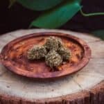 Best CBD Hemp Strains Of 2022