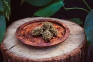 Best CBD Hemp Strains Of 2022