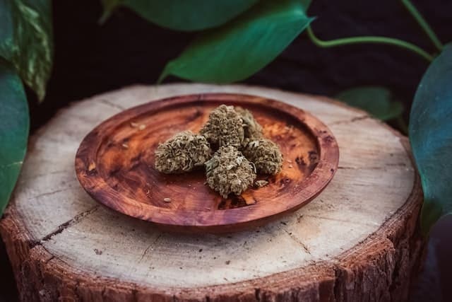 Best CBD Hemp Strains Of 2022