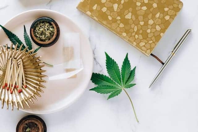 What Is THCA?
