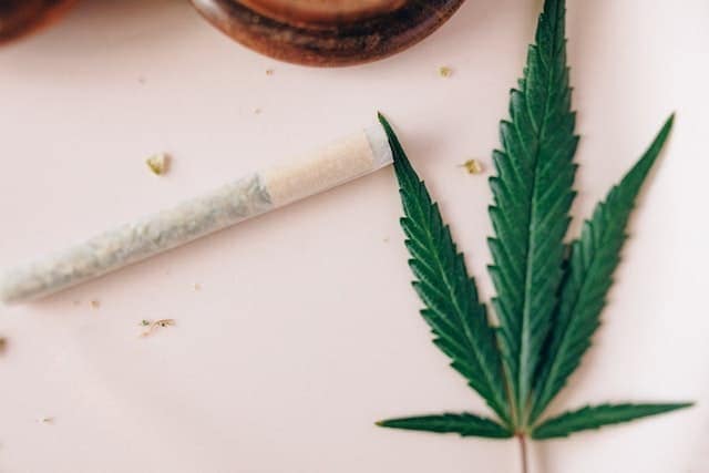 Best CBD Pre-Rolls Of 2022