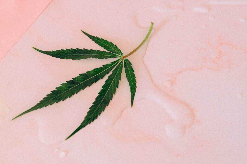 CBD Tinctures vs. CBD Oils