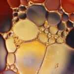 Best Full-Spectrum CBD Oils Of 2022