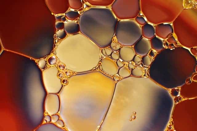 Best Full-Spectrum CBD Oils Of 2022