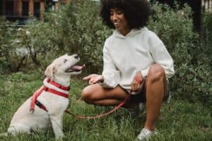 Best CBD Pet Treats Of 2022