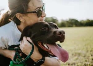 Picking The Safest CBD For Your Pooch- How Should People Evaluate CBD For Dogs?