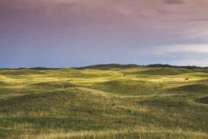 Nebraska Lawmakers Approve 100% Tax Rate for Hemp Products