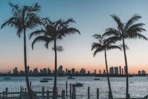 Florida’s New Hemp Regulation Bill