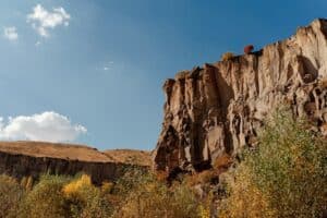 Latest Research on Managing PTSD with CBD Oil