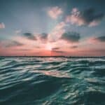 What to Know About HHC vs Delta-8 THC