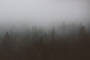Is Delta-8’s “Grey Area” Finally Gone?