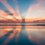 CBD Scents for Stress Relief — An Intro to CBD Aromatherapy