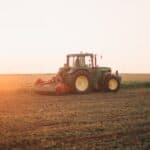 Thinking About Planting Commercial CBD Hemp?