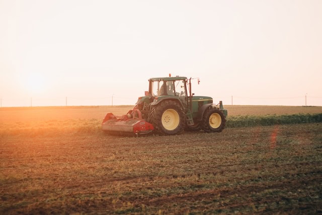 Thinking About Planting Commercial CBD Hemp?