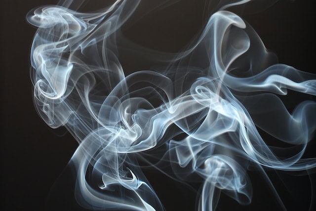 How to Choose a CBD Hemp Strain
