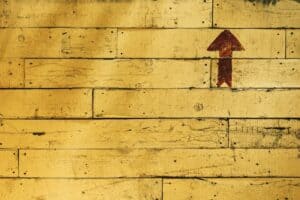 The Potential of CBD for Managing Behavioral Issues