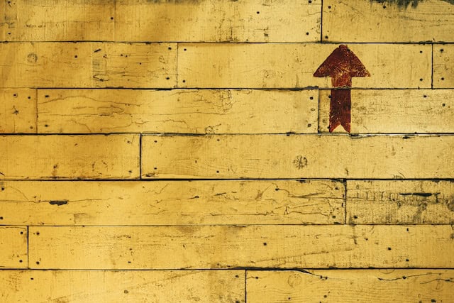 The Potential of CBD for Managing Behavioral Issues