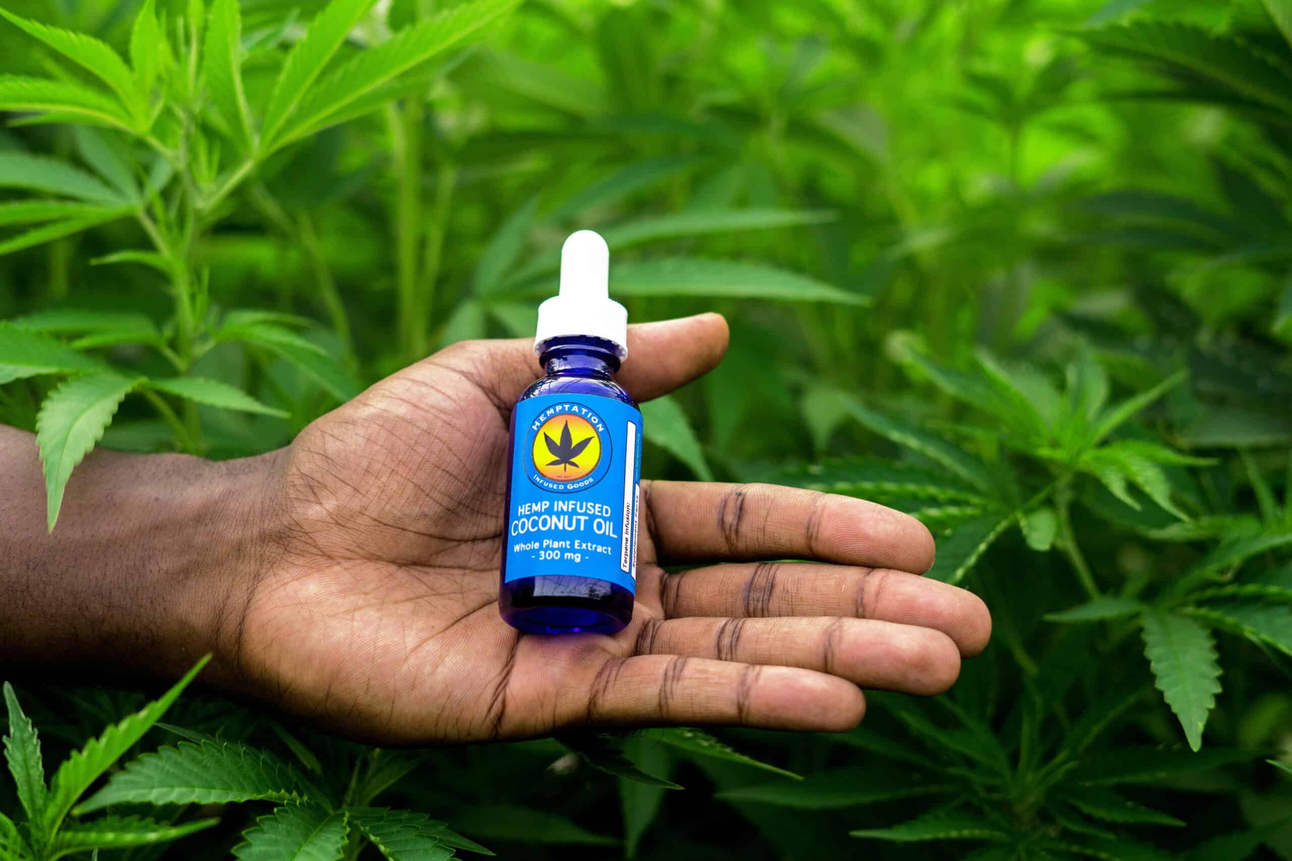 Hemptation USA – CBD Oil – Full Spectrum Featured Image