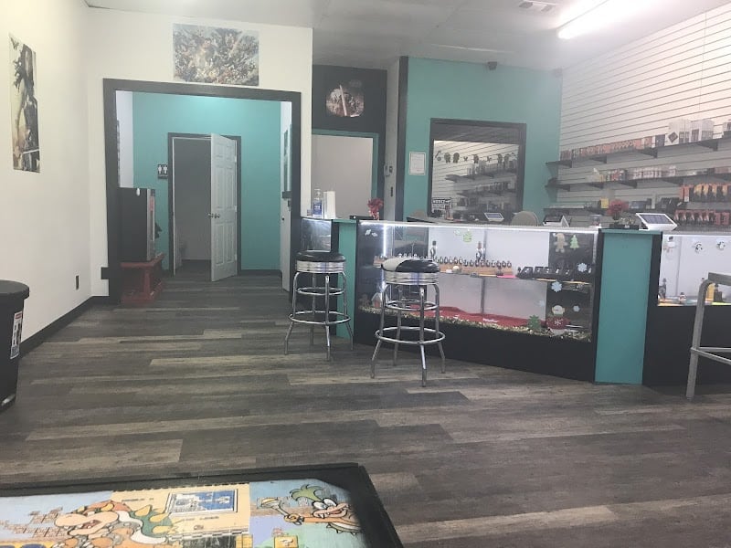 Store – gallery image 3
