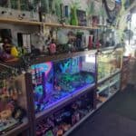 Store – gallery image 6