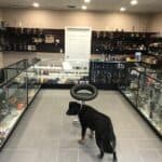 Store – gallery image 1